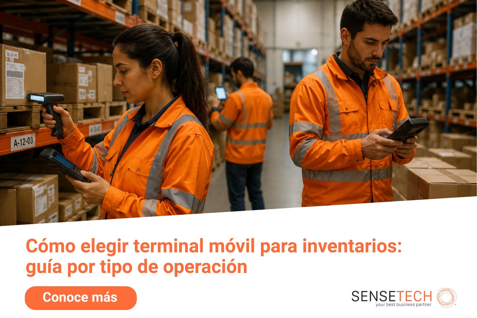 Terminal móvil para inventarios: guía por tipo de operación