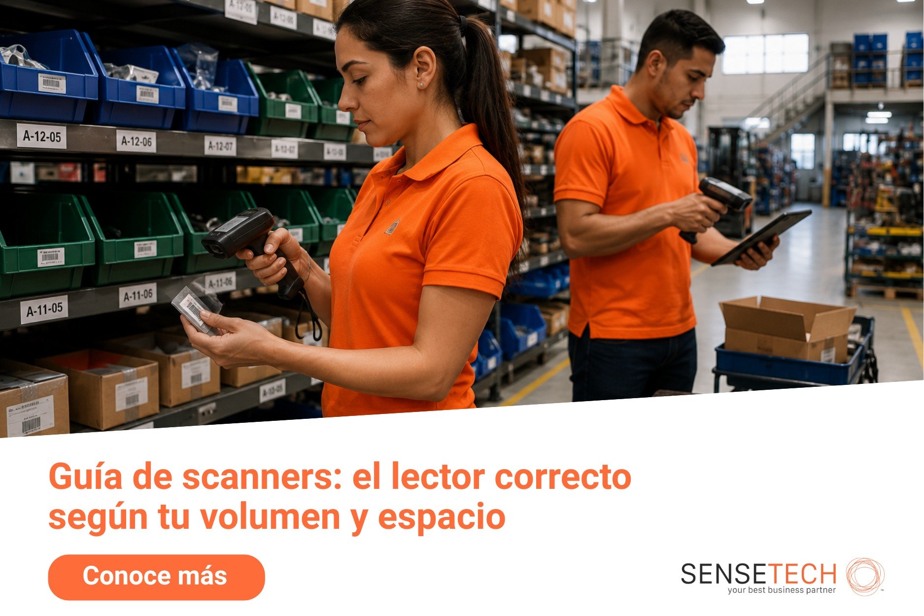 Guía de scanners: el lector correcto según tu volumen y espacio